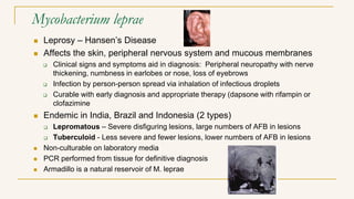 Mycobacterium leprae
 Leprosy – Hansen’s Disease
 Affects the skin, peripheral nervous system and mucous membranes
 Clinical signs and symptoms aid in diagnosis: Peripheral neuropathy with nerve
thickening, numbness in earlobes or nose, loss of eyebrows
 Infection by person-person spread via inhalation of infectious droplets
 Curable with early diagnosis and appropriate therapy (dapsone with rifampin or
clofazimine
 Endemic in India, Brazil and Indonesia (2 types)
 Lepromatous – Severe disfiguring lesions, large numbers of AFB in lesions
 Tuberculoid - Less severe and fewer lesions, lower numbers of AFB in lesions
 Non-culturable on laboratory media
 PCR performed from tissue for definitive diagnosis
 Armadillo is a natural reservoir of M. leprae
 