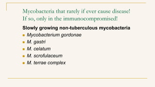Mycobacteria that rarely if ever cause disease!
If so, only in the immunocompromised!
Slowly growing non-tuberculous mycobacteria
 Mycobacterium gordonae
 M. gastri
 M. celatum
 M. scrofulaceum
 M. terrae complex
 