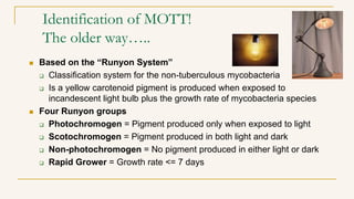 Identification of MOTT!
The older way…..
 Based on the “Runyon System”
 Classification system for the non-tuberculous mycobacteria
 Is a yellow carotenoid pigment is produced when exposed to
incandescent light bulb plus the growth rate of mycobacteria species
 Four Runyon groups
 Photochromogen = Pigment produced only when exposed to light
 Scotochromogen = Pigment produced in both light and dark
 Non-photochromogen = No pigment produced in either light or dark
 Rapid Grower = Growth rate <= 7 days
 