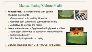 Manual Plating/Culture Media
 Middlebrook – Synthetic media with optimal
chemical ingredients
 Clear colored solid and l...