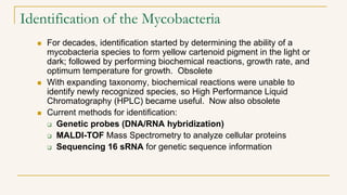 Identification of the Mycobacteria
 For decades, identification started by determining the ability of a
mycobacteria spec...