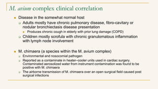 M. avium complex clinical correlation
 Disease in the somewhat normal host
 Adults mostly have chronic pulmonary disease...