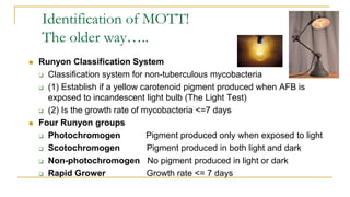 Identification of MOTT!
The older way…..
 Runyon Classification System
 Classification system for non-tuberculous mycobacteria
 (1) Establish if a yellow carotenoid pigment produced when AFB is
exposed to incandescent light bulb (The Light Test)
 (2) Is the growth rate of mycobacteria <=7 days
 Four Runyon groups
 Photochromogen Pigment produced only when exposed to light
 Scotochromogen Pigment produced in both light and dark
 Non-photochromogen No pigment produced in light or dark
 Rapid Grower Growth rate <= 7 days
 