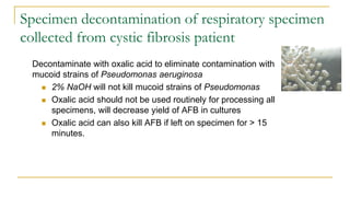 Decontaminate with oxalic acid to eliminate contamination with
mucoid strains of Pseudomonas aeruginosa
 2% NaOH will not kill mucoid strains of Pseudomonas
 Oxalic acid should not be used routinely for processing all
specimens, will decrease yield of AFB in cultures
 Oxalic acid can also kill AFB if left on specimen for > 15
minutes.
Specimen decontamination of respiratory specimen
collected from cystic fibrosis patient
 