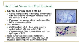Acid Fast Stains for Mycobacteria
 Carbol fuchsin based stains
 Carbol fuchsin is the red colored primary stain
with affinity to the lipid reach mycolic acids in
the cell wall of AFB
 Potassium permanganate or methylene blue
is the blue counterstain
 Two methods:
 Ziehl-Neelsen (ZN) – heat used to drive
carbol fuchsin into lipid laden AFB
 Kinyoun – High % of phenol drives stain into
lipid layer of AFB
 Read numerous microscopic fields for 5
minutes, using light microscopy and 100x oil
objective observing pink stained organisms
 
