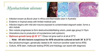 Mycobacterium ulcerans
 Infection known as Buruli ulcer in Africa and Bairnsdale ulcer in Australia
 Endemic in tropical areas with limited medical care
 Infection begins with mild skin trauma exposed to contaminated stagnant water, forms a
skin nodule
 Skin nodule progresses to form destructive/debilitating ulcers, peak age group 5-15yrs
 Ulcerations due to production of mycolactone (cell cytotoxin)
 Optimum growth temp @ 30˚ C** / Does not grow well or at all at 37*C
 Note: All skin lesions suspicious for AFB should be cultured at both 30˚ & 37˚C
 Non-photochromogen, genetically related to M. marinum (another water borne AFB)
 Culture, AFB stain, molecular testing (PCR) and histology can assist with diagnosis
 