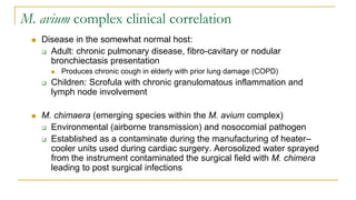M. avium complex clinical correlation
 Disease in the somewhat normal host:
 Adult: chronic pulmonary disease, fibro-cavitary or nodular
bronchiectasis presentation
 Produces chronic cough in elderly with prior lung damage (COPD)
 Children: Scrofula with chronic granulomatous inflammation and
lymph node involvement
 M. chimaera (emerging species within the M. avium complex)
 Environmental (airborne transmission) and nosocomial pathogen
 Established as a contaminate during the manufacturing of heater–
cooler units used during cardiac surgery. Aerosolized water sprayed
from the instrument contaminated the surgical field with M. chimera
leading to post surgical infections
 