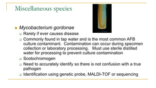 Miscellaneous species
 Mycobacterium gordonae
 Rarely if ever causes disease
 Commonly found in tap water and is the most common AFB
culture contaminant. Contamination can occur during specimen
collection or laboratory processing. Must use sterile distilled
water for processing to prevent culture contamination
 Scotochromogen
 Need to accurately identify so there is not confusion with a true
pathogen
 Identification using genetic probe, MALDI-TOF or sequencing
 