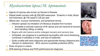Mycobacterium leprae/M. lepromatosis
 Agents of Leprosy also known as Hansen’s Disease
 Global health concern with @ 200,000 cases/year. Endemic in India, Brazil
and Indonesia, @ 100 cases in US per year
 Affects skin, mucous membranes, and peripheral nerves,
 Infection spread via inhalation of infectious droplets from humans
 Armadillo is zoonotic reservoir of M. leprae and can transmit to humans
from handling, killing, or eating
 Begins with skin lesions and/or enlarged nerve(s) and sensory loss.
 Untreated, can progress to a peripheral neuropathy with nerve thickening,
numbness in earlobes or nose, and loss of eyebrows.
 Quite curable with early diagnosis and appropriate therapy (dapsone plus
rifampin or clofazimine). BCG vaccine is partially protective (50%)
 Does not grow in culture
 AFB staining of tissue and PCR performance for diagnosis
 
