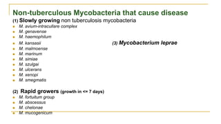 Non-tuberculous Mycobacteria that cause disease
(1) Slowly growing non tuberculosis mycobacteria
 M. avium-intracullare complex
 M. genavense
 M. haemophilum
 M. kansasii (3) Mycobacterium leprae
 M. malmoense
 M. marinum
 M. simiae
 M. szulgai
 M. ulcerans
 M. xenopi
 M. smegmatis
(2) Rapid growers (growth in <= 7 days)
 M. fortuitum group
 M. abscessus
 M. chelonae
 M. mucogenicum
 