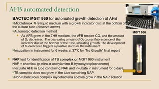 Comprehensive Update on Mycobacteriology: Identification, Safety, and ...