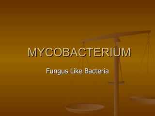 MYCOBACTERIUM Fungus Like Bacteria 