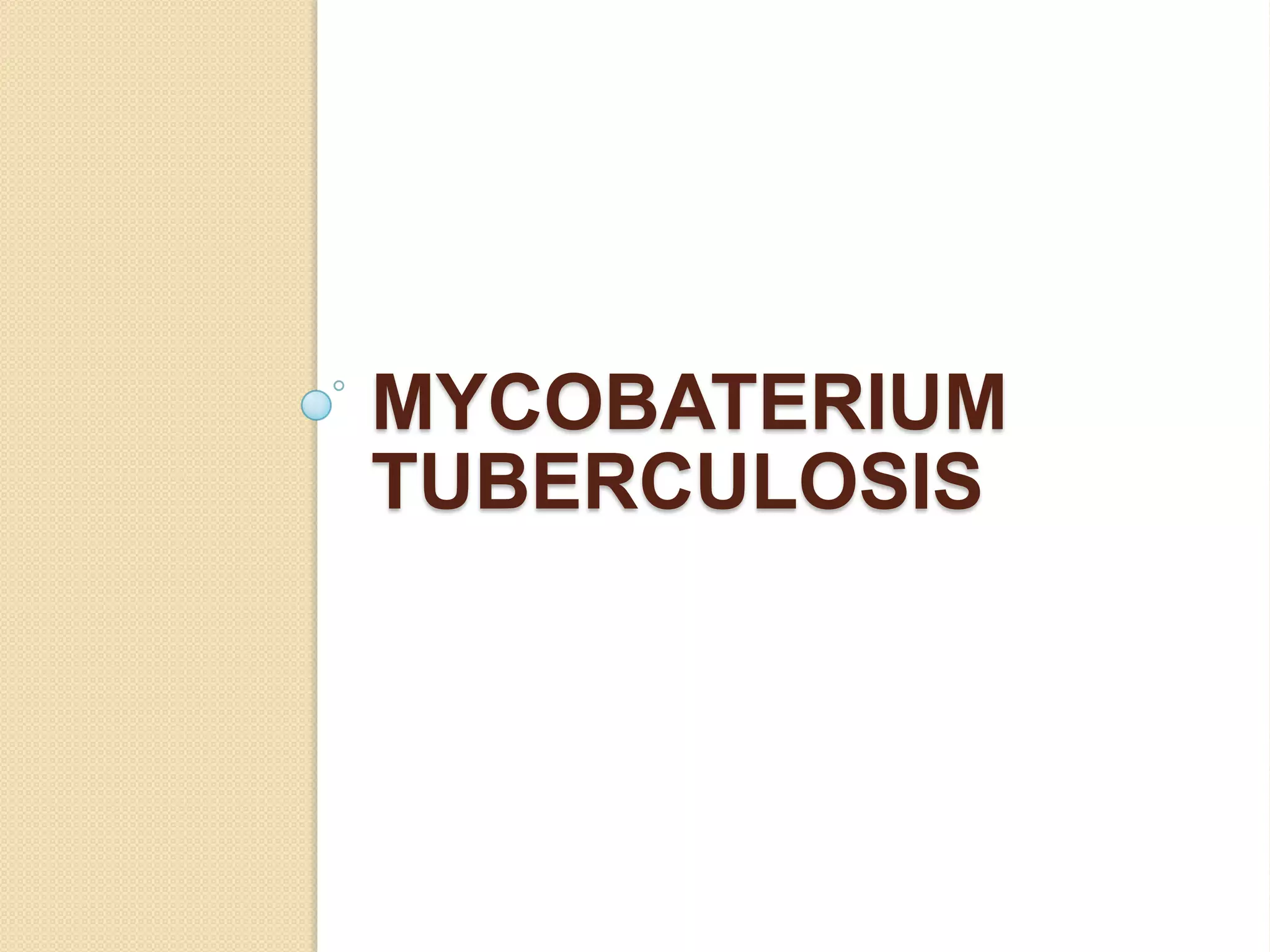 MYCOBATERIUM
TUBERCULOSIS
 