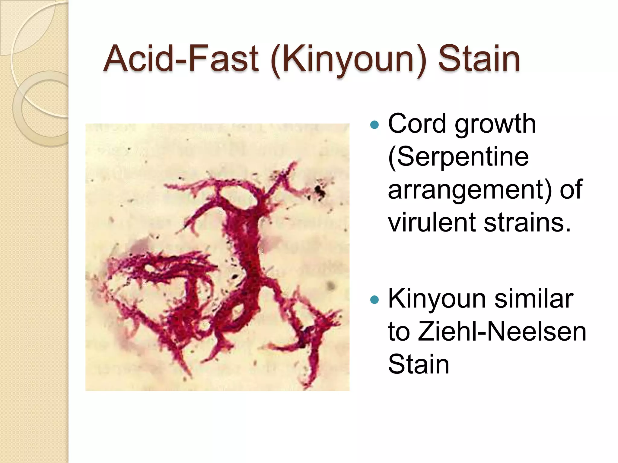Acid-Fast (Kinyoun) Stain
 Cord growth
(Serpentine
arrangement) of
virulent strains.
 Kinyoun similar
to Ziehl-Neelsen
Stain
 