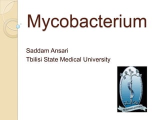 Mycobacterium
Saddam Ansari
Tbilisi State Medical University
 