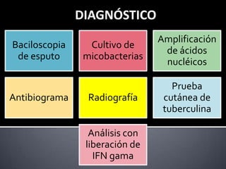 DIAGNÓSTICO
Baciloscopia
de esputo

Antibiograma

Cultivo de
micobacterias

Amplificación
de ácidos
nucléicos

Radiografía

Prueba
cutánea de
tuberculina

Análisis con
liberación de
IFN gama

 