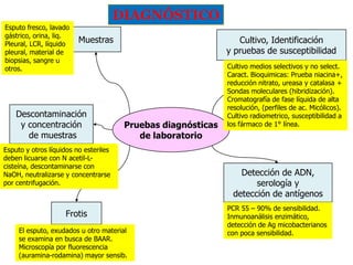 DIAGNÓSTICO
Esputo fresco, lavado
gástrico, orina, liq.
Pleural, LCR, líquido
pleural, material de
biopsias, sangre u
otros.

Muestras

Descontaminación
y concentración
de muestras

Cultivo, Identificación
y pruebas de susceptibilidad

Pruebas diagnósticas
de laboratorio

Esputo y otros líquidos no esteriles
deben licuarse con N acetil-Lcisteína, descontaminarse con
NaOH, neutralizarse y concentrarse
por centrifugación.

Frotis
El esputo, exudados u otro material
se examina en busca de BAAR.
Microscopía por fluorescencia
(auramina-rodamina) mayor sensib.

Cultivo medios selectivos y no select.
Caract. Bioquimicas: Prueba niacina+,
reducción nitrato, ureasa y catalasa +
Sondas moleculares (hibridización).
Cromatografía de fase líquida de alta
resolución, (perfiles de ac. Micólicos).
Cultivo radiometrico, susceptibilidad a
los fármaco de 1° línea.

Detección de ADN,
serología y
detección de antígenos
PCR 55 – 90% de sensibilidad.
Inmunoanálisis enzimático,
detección de Ag micobacterianos
con poca sensibilidad.

 