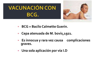 

BCG = Bacilo Calmette Guerin.



Cepa atenuada de M. bovis,1921.



Es innocua y rara vez causa
graves.



Una sola aplicación por vía I.D

complicaciones

 