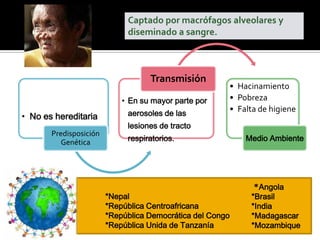Captado por macrófagos alveolares y
diseminado a sangre.

Transmisión
• En su mayor parte por

• No es hereditaria
Predisposición
Genética

aerosoles de las

• Hacinamiento
• Pobreza
• Falta de higiene

lesiones de tracto
respiratorios.

*Nepal
*República Centroafricana
*República Democrática del Congo
*República Unida de Tanzanía

Medio Ambiente

*Angola
*Brasil
*India
*Madagascar
*Mozambique

 