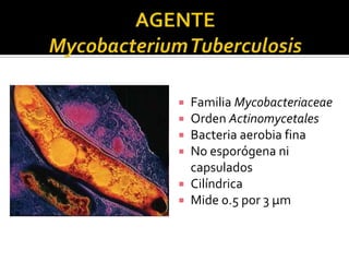 Familia Mycobacteriaceae
Orden Actinomycetales
Bacteria aerobia fina
No esporógena ni
capsulados
 Cilíndrica
 Mide 0.5 por 3 µm





 