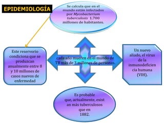 EPIDEMIOLOGÍA

Este reservorio
condiciona que se
produzcan
anualmente entre 8
y 10 millones de
casos nuevos de
enfermedad

cada año mueren en el mundo de
TB más de 3 millones de personas.

Es probable
que, actualmente, exist
an más tuberculosos
que en
1882.

Un nuevo
aliado, el virus
de la
inmunodeficien
cia humana
(VIH).

 