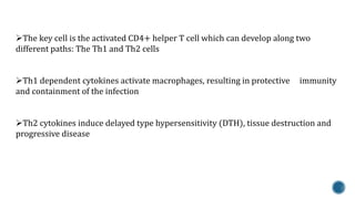 The key cell is the activated CD4+ helper T cell which can develop along two 
different paths: The Th1 and Th2 cells 
Th1 dependent cytokines activate macrophages, resulting in protective immunity 
and containment of the infection 
Th2 cytokines induce delayed type hypersensitivity (DTH), tissue destruction and 
progressive disease 
 