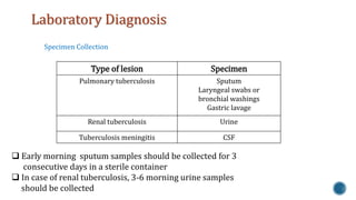 Laboratory Diagnosis 
Specimen Collection 
Type of lesion Specimen 
Pulmonary tuberculosis Sputum 
 Early morning sputum samples should be collected for 3 
consecutive days in a sterile container 
 In case of renal tuberculosis, 3-6 morning urine samples 
should be collected 
Laryngeal swabs or 
bronchial washings 
Gastric lavage 
Renal tuberculosis Urine 
Tuberculosis meningitis CSF 
 