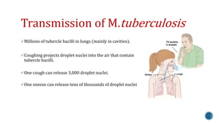 Transmission of M.tuberculosis 
Millions of tubercle bacilli in lungs (mainly in cavities). 
Coughing projects droplet nuclei into the air that contain 
tubercle bacilli. 
One cough can release 3,000 droplet nuclei. 
One sneeze can release tens of thousands of droplet nuclei 
 