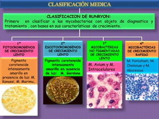 MYCOBACTERIUM | PPTX