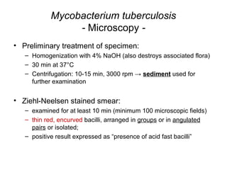Mycobacterium tuberculosis
- Microscopy -
• Preliminary treatment of specimen:
– Homogenization with 4% NaOH (also destroys associated flora)
– 30 min at 37°C
– Centrifugation: 10-15 min, 3000 rpm → sediment used for
further examination
• Ziehl-Neelsen stained smear:
– examined for at least 10 min (minimum 100 microscopic fields)
– thin red, encurved bacilli, arranged in groups or in angulated
pairs or isolated;
– positive result expressed as “presence of acid fast bacilli”
 
