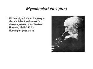 Mycobacterium leprae
• Clinical significance: Leprosy –
chronic infection (Hansen´s
disease, named after Gerhard
Hansen, 1841-1912 –
Norwegian physician)
 