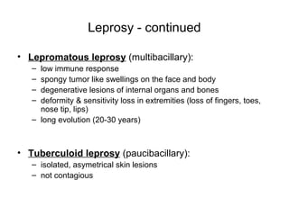 Leprosy - continued
• Lepromatous leprosy (multibacillary):
– low immune response
– spongy tumor like swellings on the face and body
– degenerative lesions of internal organs and bones
– deformity & sensitivity loss in extremities (loss of fingers, toes,
nose tip, lips)
– long evolution (20-30 years)
• Tuberculoid leprosy (paucibacillary):
– isolated, asymetrical skin lesions
– not contagious
 