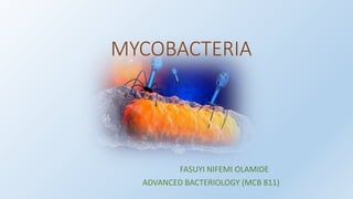MYCOBACTERIA
FASUYI NIFEMI OLAMIDE
ADVANCED BACTERIOLOGY (MCB 811)
 