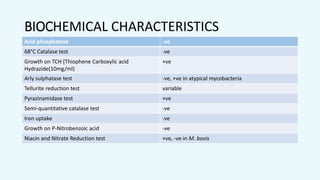 BIOCΗEMICAL CΗARACTERISTICS
Acid phosphatase -ve
68°C Catalase test -ve
Growth on TCH [Thiophene Carboxylic acid
Ηydrazide(10mg/ml)
+ve
Arly sulphatase test -ve, +ve in atypical mycobacteria
Tellurite reduction test variable
Pyrazinamidase test +ve
Semi-quantitative catalase test -ve
Iron uptake -ve
Growth on P-Nitrobenzoic acid -ve
Niacin and Nitrate Reduction test +ve, -ve in M. bovis
 