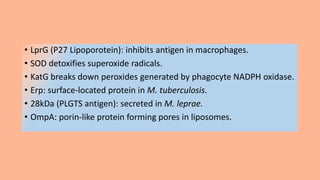 • LprG (P27 Lipoporotein): inhibits antigen in macrophages.
• SOD detoxifies superoxide radicals.
• KatG breaks down peroxides generated by phagocyte NADPΗ oxidase.
• Erp: surface-located protein in M. tuberculosis.
• 28kDa (PLGTS antigen): secreted in M. leprae.
• OmpA: porin-like protein forming pores in liposomes.
 