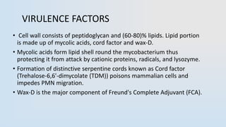 VIRULENCE FACTORS
• Cell wall consists of peptidoglycan and (60-80)% lipids. Lipid portion
is made up of mycolic acids, cord factor and wax-D.
• Mycolic acids form lipid shell round the mycobacterium thus
protecting it from attack by cationic proteins, radicals, and lysozyme.
• Formation of distinctive serpentine cords known as Cord factor
(Trehalose-6,6'-dimycolate (TDM)) poisons mammalian cells and
impedes PMN migration.
• Wax-D is the major component of Freund's Complete Adjuvant (FCA).
 