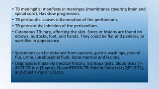 • TB meningitis: manifests in meninges (membranes covering brain and
spinal cord). Has slow progression.
• TB peritonitis: causes inflammation of the peritoneum.
• TB pericarditis: infection of the pericardium.
• Cutaneous TB: rare, affecting the skin. Sores or lesions are found on
elbows, buttocks, feet, and hands. They could be flat and painless, or
wart-like in appearance.
• Specimens can be obtained from sputum, gastric washings, pleural
flui, urine, Cerebospinal fluid, bone marrow and lesions.
• Diagnosis is made via medical history, mantoux tests, blood tests {T-
SPOT TB test (T-spot), QuantiFERON-TB Gold In-Tube test (QFT-GIT)},
and chest X-ray or CTscan.
 