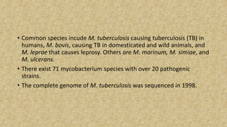 • Common species incude M. tuberculosis causing tuberculosis (TB) in
humans, M. bovis, causing TB in domesticated and wild animals, and
M. leprae that causes leprosy. Others are M. marinum, M. simiae, and
M. ulcerans.
• There exist 71 mycobacterium species with over 20 pathogenic
strains.
• The complete genome of M. tuberculosis was sequenced in 1998.
 