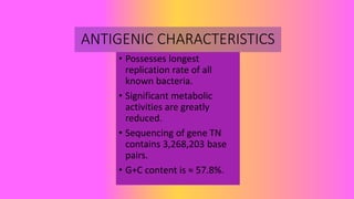 ANTIGENIC CHARACTERISTICS
• Possesses longest
replication rate of all
known bacteria.
• Significant metabolic
activities are greatly
reduced.
• Sequencing of gene TN
contains 3,268,203 base
pairs.
• G+C content is ≈ 57.8%.
 