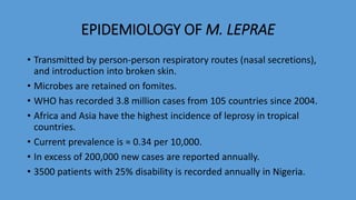 EPIDEMIOLOGY OF M. LEPRAE
• Transmitted by person-person respiratory routes (nasal secretions),
and introduction into broken skin.
• Microbes are retained on fomites.
• WHO has recorded 3.8 million cases from 105 countries since 2004.
• Africa and Asia have the highest incidence of leprosy in tropical
countries.
• Current prevalence is ≈ 0.34 per 10,000.
• In excess of 200,000 new cases are reported annually.
• 3500 patients with 25% disability is recorded annually in Nigeria.
 