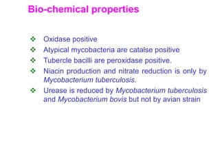 Bio-chemical properties
 Oxidase positive
 Atypical mycobacteria are catalse positive
 Tubercle bacilli are peroxidase positive.
 Niacin production and nitrate reduction is only by
Mycobacterium tuberculosis.
 Urease is reduced by Mycobacterium tuberculosis
and Mycobacterium bovis but not by avian strain
 