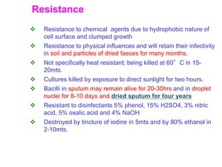 Resistance
 Resistance to chemical agents due to hydrophobic nature of
cell surface and clumped growth
 Resistance to physical influences and will retain their infectivity
in soil and particles of dried faeces for many months.
 Not specifically heat resistant; being killed at 60°C in 15-
20mts.
 Cultures killed by exposure to direct sunlight for two hours.
 Bacilli in sputum may remain alive for 20-30hrs and in droplet
nuclei for 8-10 days and dried sputum for four years
 Resistant to disinfectants 5% phenol, 15% H2SO4, 3% nitric
acid, 5% oxalic acid and 4% NaOH
 Destroyed by tincture of iodine in 5mts and by 80% ethanol in
2-10mts.
 