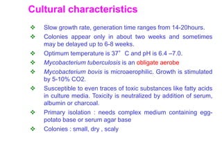 Cultural characteristics
 Slow growth rate, generation time ranges from 14-20hours.
 Colonies appear only in about two weeks and sometimes
may be delayed up to 6-8 weeks.
 Optimum temperature is 37°C and pH is 6.4 –7.0.
 Mycobacterium tuberculosis is an obligate aerobe
 Mycobacterium bovis is microaerophilic. Growth is stimulated
by 5-10% CO2.
 Susceptible to even traces of toxic substances like fatty acids
in culture media. Toxicity is neutralized by addition of serum,
albumin or charcoal.
 Primary isolation : needs complex medium containing egg-
potato base or serum agar base
 Colonies : small, dry , scaly
 