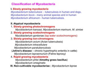 I. Slowly growing mycobacteria
Mycobacterium tuberculosis - tuberculosis in human and dogs.
Mycobacterium bovis - many animal species and in human
Mycobacterium africanum - human tuberculosis.
Classification of Mycobacteria
II. Atypical mycobacteria
1. Slowly growing photochromogens
Mycobacterium kansasi, Mycobacterium marinum, M. simiae
2. Slowly growing scotochromogens
Mycobacterium gordonae (tap water scotochromogens)
3. Slowly growing non-chromogens
Mycobacterium avium (Avian tuberculosis)
Mycobacterium intracellulare
Mycobacterium paratuberculosis
(Johne’s disease – chronic hypertrophic enteritis in cattle)
Mycobacterium lepraemurium (Feline leprosy)
4. Rapid growing mycobacteria
Mycobacterium phlei (timothy grass bacillus)
Mycobacterium smegmatis
III. Non-cultivable mycobacteriae : Mycobacterium leprae
 