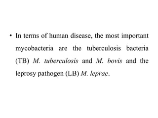 Mycobacterium- 5.pptx