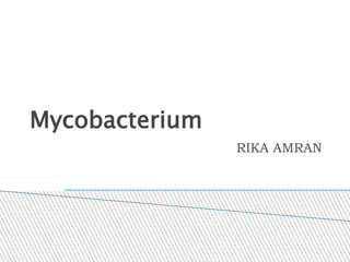 Mycobacterium
RIKA AMRAN
 