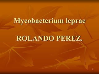 Mycobacterium leprae

ROLANDO PEREZ.


                       1
 