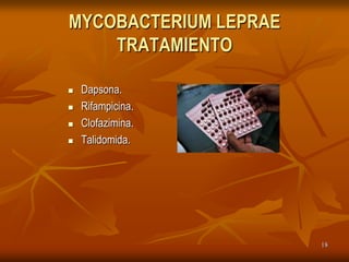 MYCOBACTERIUM LEPRAE
    TRATAMIENTO

   Dapsona.
   Rifampicina.
   Clofazimina.
   Talidomida.




                       18
 