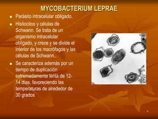 MYCOBACTERIUM LEPRAE
   Parásito intracelular obligado.
   Histiocitos y células de
    Schwann. Se trata de un
    organismo intracelular
    obligado, y crece y se divide el
    interior de los macrófagos y las
    células de Schwann..
   Se caracteriza además por un
    tiempo de duplicación
    extremadamente lenta de 12-
    14 días, favoreciendo las
    temperaturas de alrededor de
    30 grados

                                        6
 