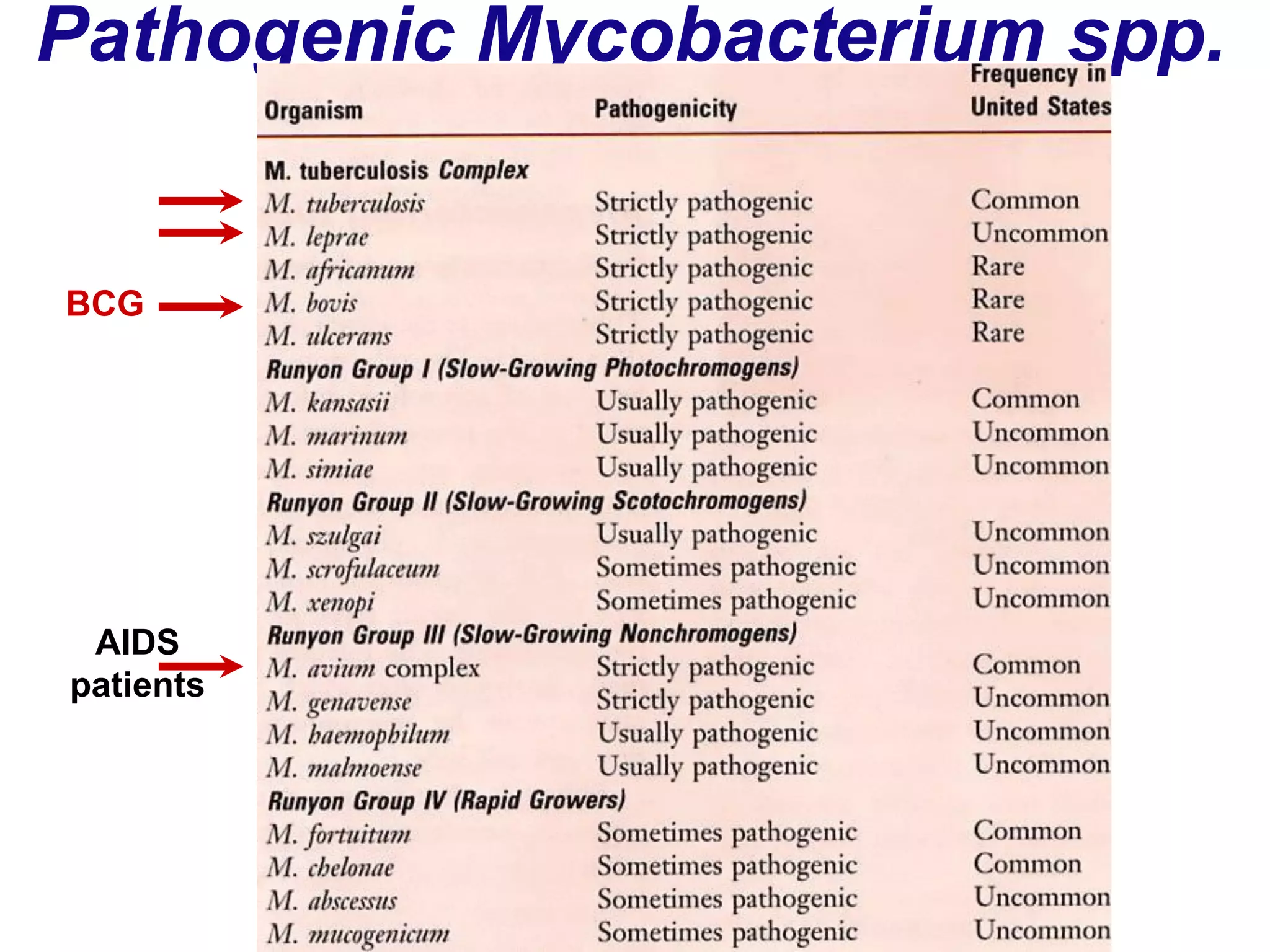 Pathogenic Mycobacterium spp.
BCG
AIDS
patients
 